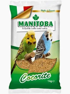 FOOD FOR PARROTS & BUDDY