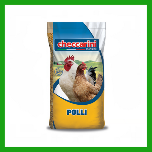 CHECCARINI CHICKEN FEED