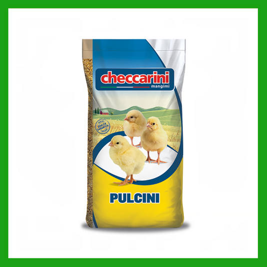 CHECCARINI CHICK FEED