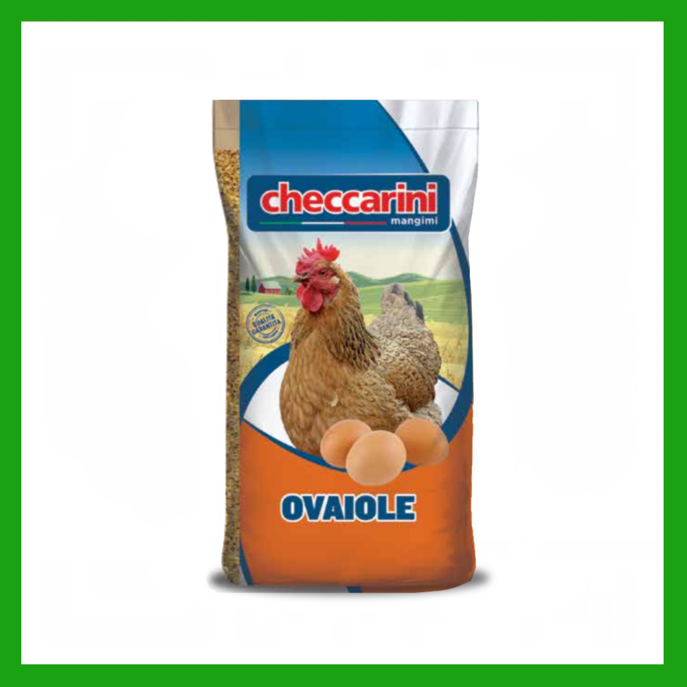 MANGIME CHECCARINI OVAIOLE