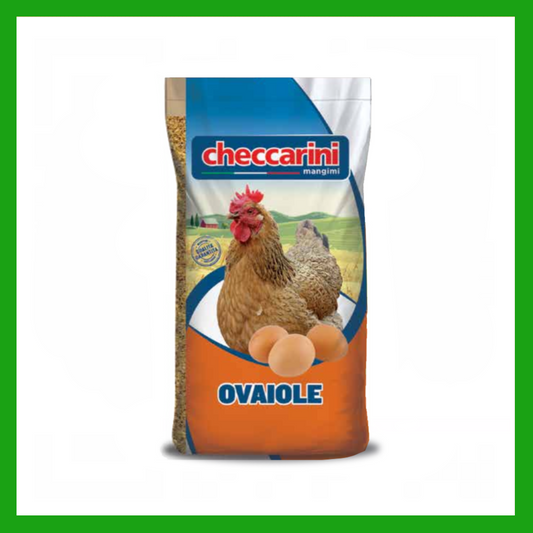 MANGIME CHECCARINI OVAIOLE
