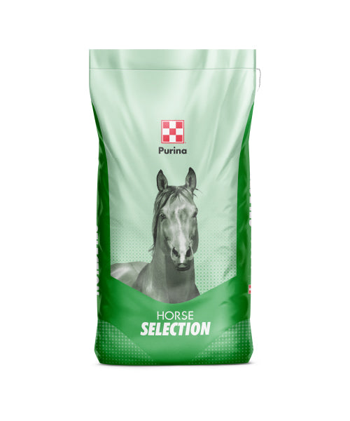 CAVALLI PURINA