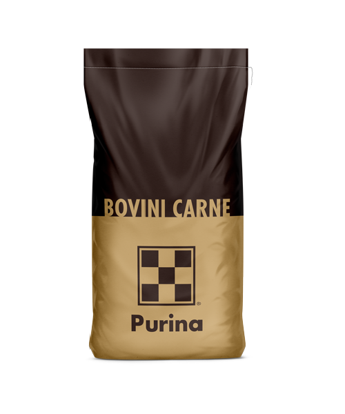 PURINA BEEF