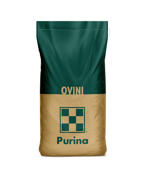 OVINI